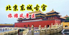 欧美人性乱交猛交大屌操美女BB中国北京-东城古宫旅游风景区